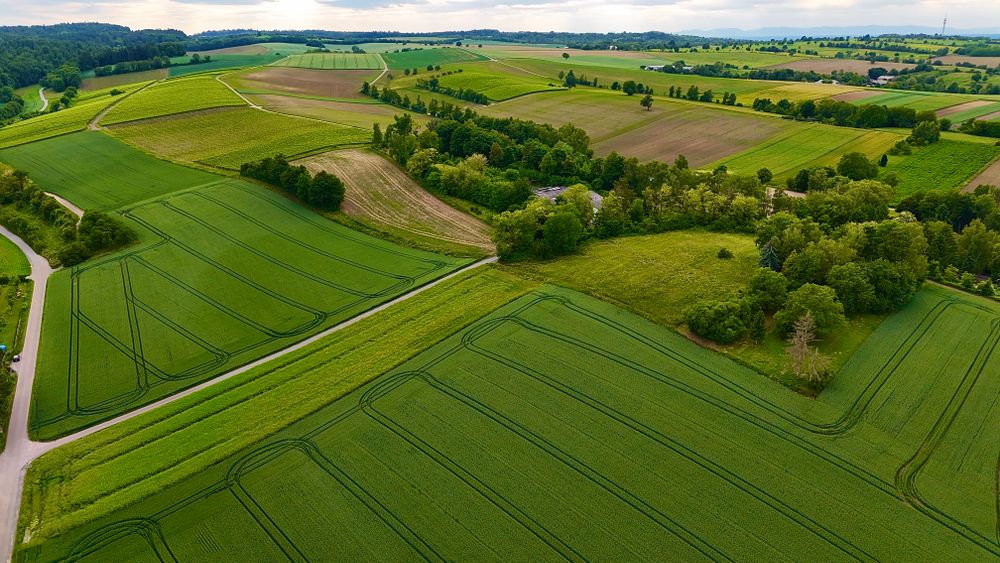 Agricultural fields from above
