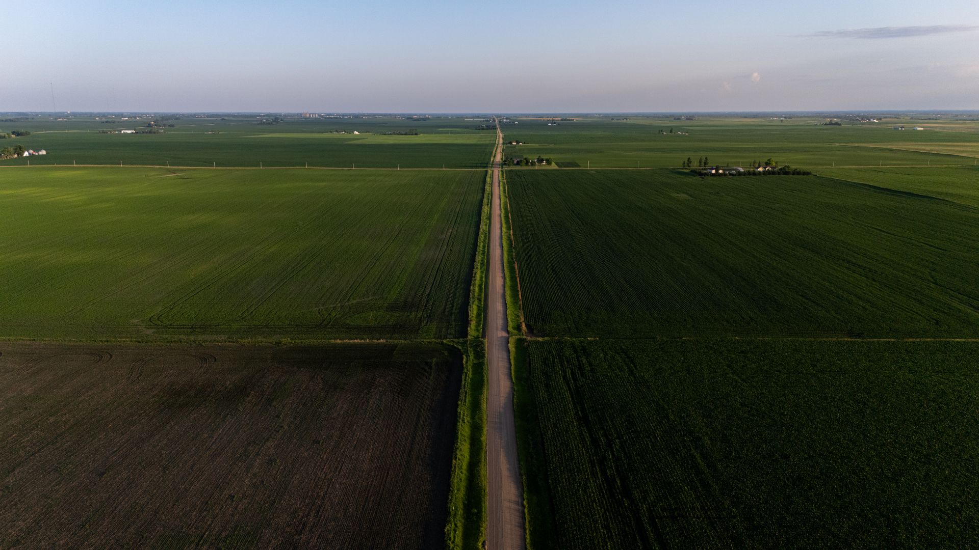 Green agricultural landscape